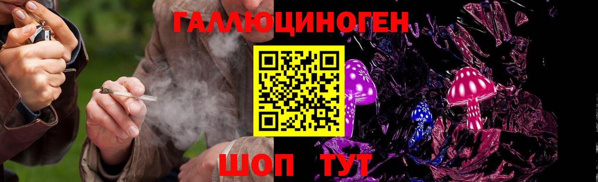 Галлюциногенные грибы GOLDEN TEACHER Калач-на-Дону