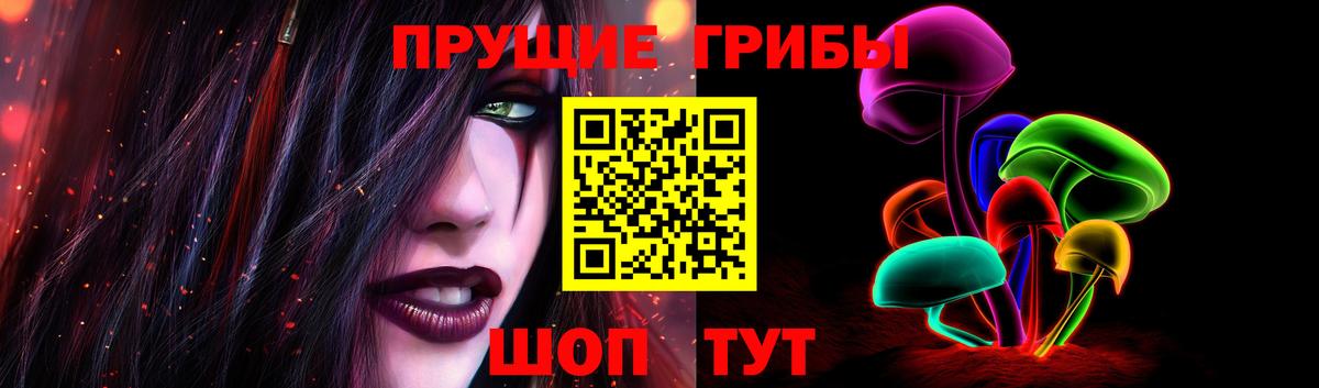 Галлюциногенные грибы Psilocybe  Вход с VPN  Калач-на-Дону 